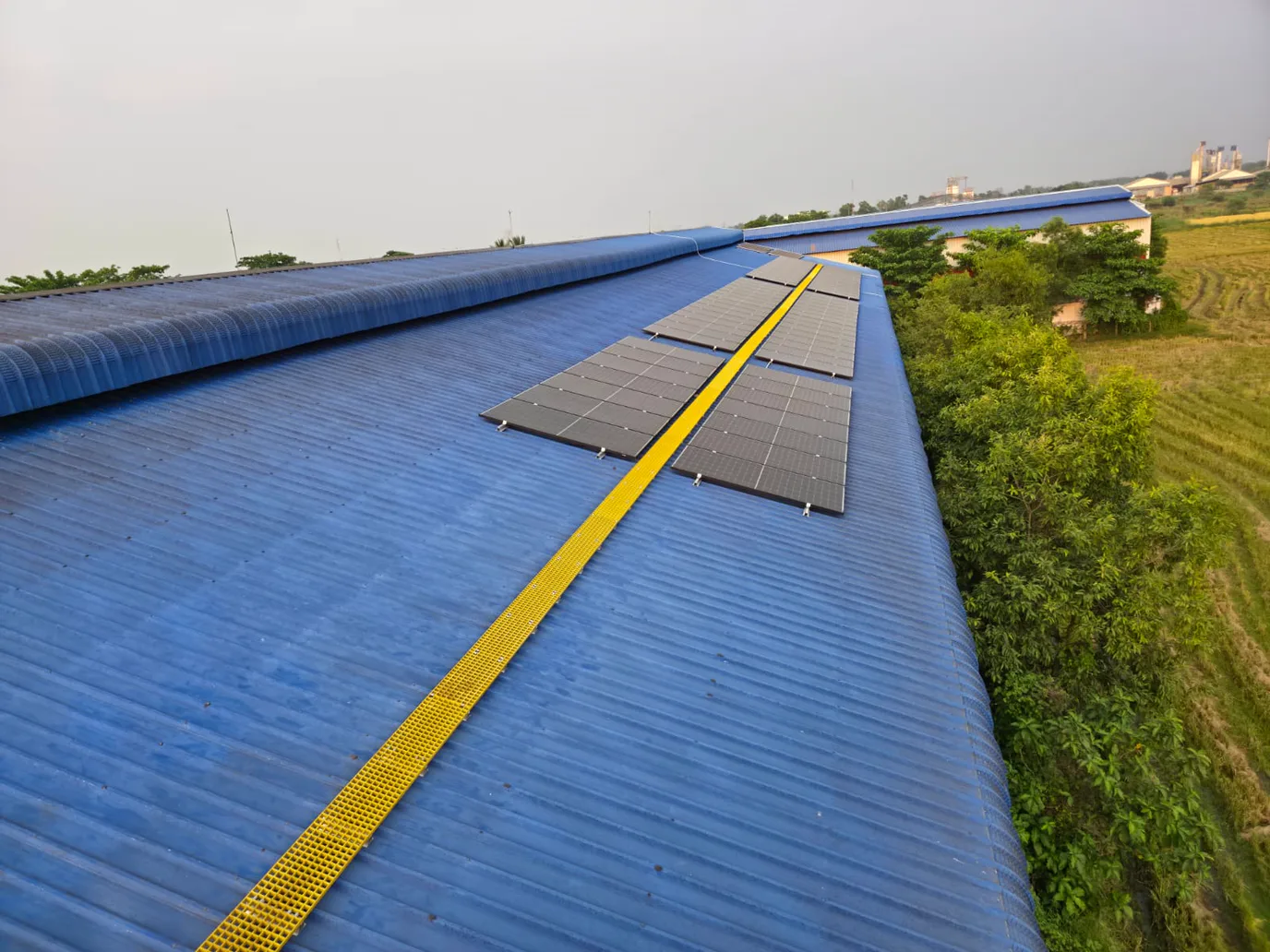 Two blocks of solar modules on a long blue metal shed roof, a yellow walkway running between them, with trees and fields alongside.